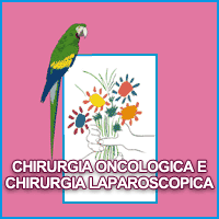 chirurgia oncologica e laparoscopia